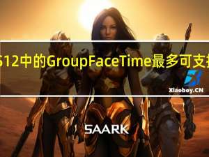 iOS 12中的Group FaceTime最多可支持32个人