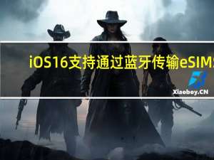 iOS16支持通过蓝牙传输eSIMS