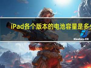 iPad各个版本的电池容量是多少