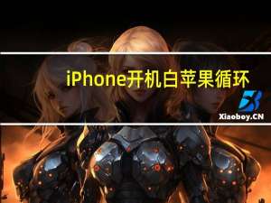 iPhone开机白苹果循环（iphone开机白苹果）