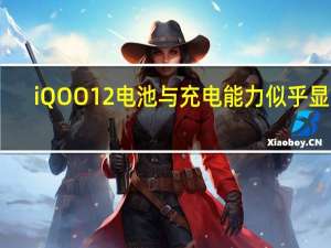 iQOO 12电池与充电能力似乎显露