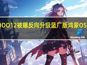 iQOO 12被曝反向升级 蓝厂版鸿蒙OS要来了！