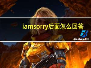i am sorry 后面怎么回答