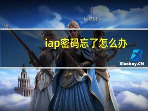 iap密码忘了怎么办（iapm）