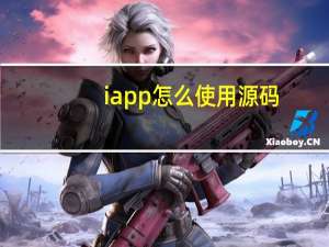 iapp怎么使用源码