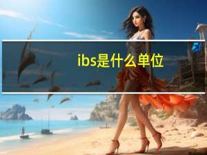 ibs是什么单位