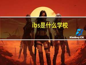 ibs是什么学校