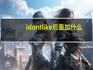 i dont like后面加什么