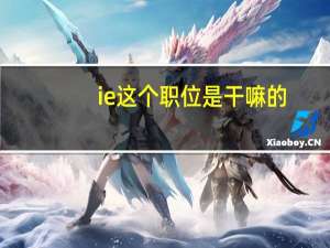 ie这个职位是干嘛的（ie是什么职位）