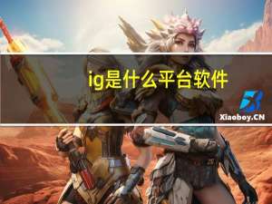 ig是什么平台软件