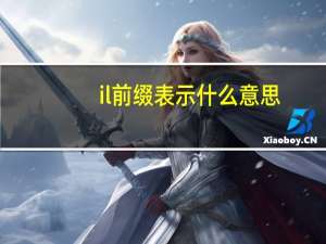 il前缀表示什么意思