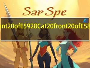 in front of和at front of区别