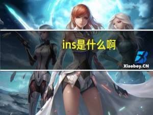 ins是什么啊