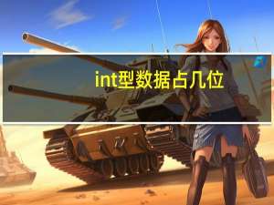 int型数据占几位