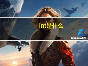 int是什么