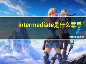 intermediate是什么意思