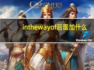 in the way of后面加什么