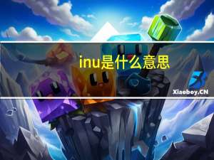 inu是什么意思（inu 006）