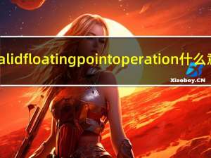 invalid floating point operation什么意思