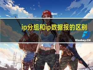 ip分组和ip数据报的区别