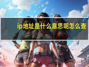 ip地址是什么意思呢怎么查（ip地址是什么）