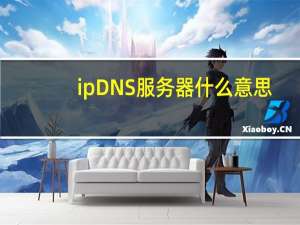 ipDNS服务器什么意思（dns服务器什么意思）