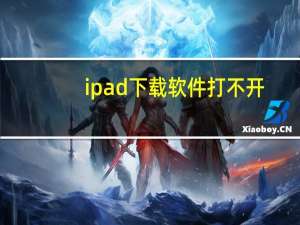 ipad下载软件打不开（ipad下载软件）