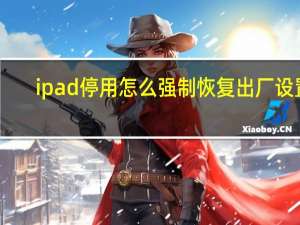 ipad停用怎么强制恢复出厂设置（ipad已停用如何恢复出厂设置）