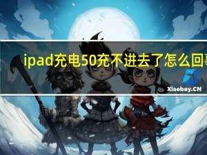 ipad充电50%充不进去了怎么回事