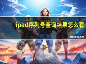 ipad序列号查询结果怎么看（ipad序列号查询）