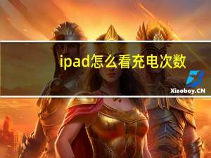 ipad怎么看充电次数