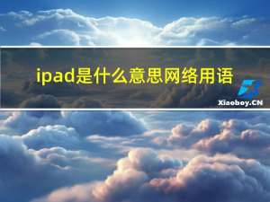 ipad是什么意思网络用语（ipad是什么意思）