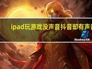 ipad玩游戏没声音抖音却有声音（ipad玩游戏没声音）