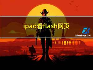 ipad看flash网页（ipad flash浏览器）
