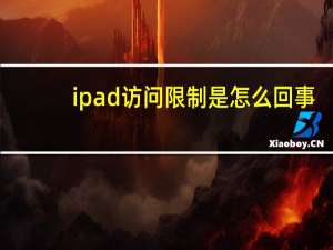 ipad访问限制是怎么回事