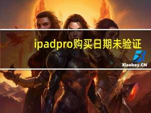 ipad pro购买日期未验证（ipad购买日期未验证是什么意思）