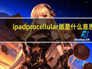 ipadpro cellular版是什么意思（ipad cellular版是什么意思）