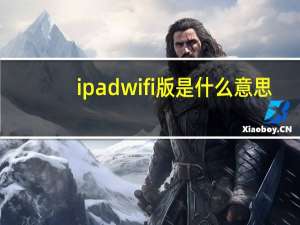 ipad wifi版是什么意思