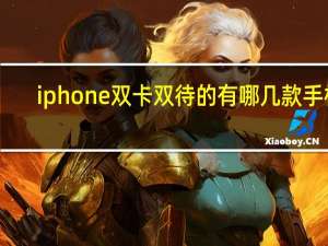 iphone双卡双待的有哪几款手机（iphone双卡双待）