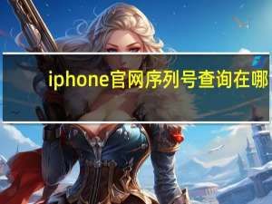 iphone官网序列号查询在哪（iphone官网序列号查询）
