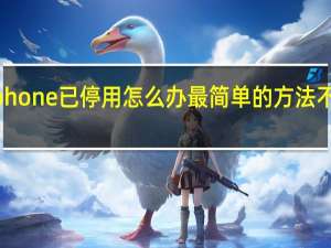 iphone已停用怎么办最简单的方法不用电脑（iphone已停用怎么办）