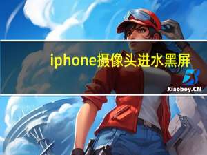 iphone摄像头进水黑屏