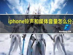 iphone铃声和媒体音量怎么分开（iphone铃声）