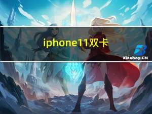 iphone 11双卡（iPhone 11双卡吗）