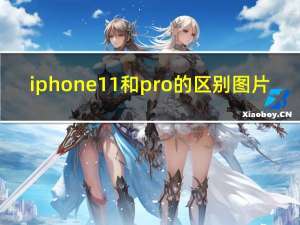 iphone11和pro的区别图片（iphone11和pro的区别）