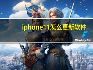 iphone11怎么更新软件（iphone11软件更新在哪）