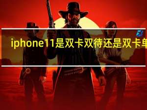 iphone11是双卡双待还是双卡单通（iphone11是双卡双待吗）