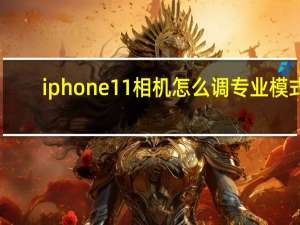 iphone11相机怎么调专业模式（iphone11相机怎么调专业模式）