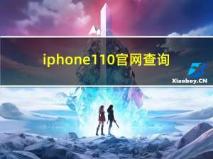iphone110官网查询（苹果110查询官网）