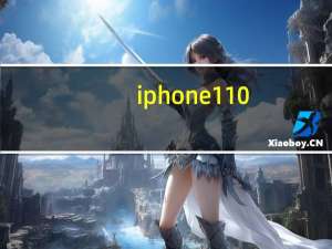 iphone110.5（iphone110查询）